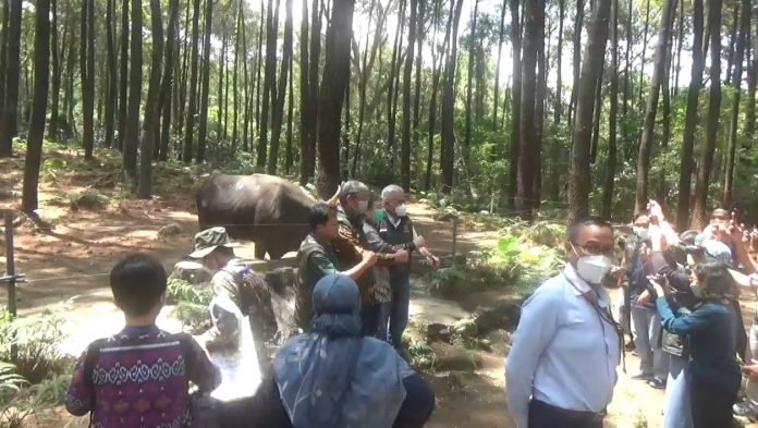 Taman Safari Indonesia Bersama Pt Smelting Bnpt Kerjasama